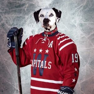 Meet your Posher, Danny